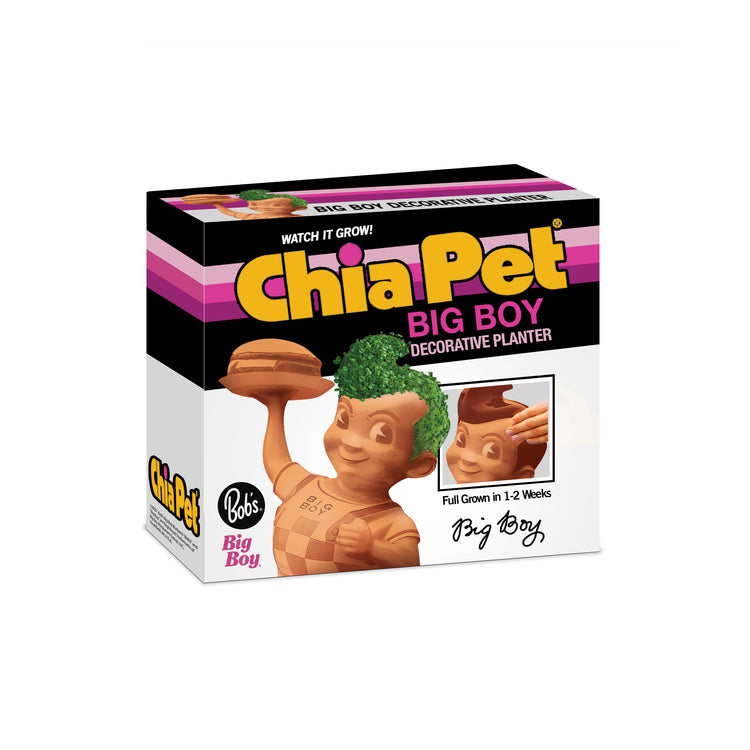Chia Pet